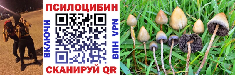 mega ТОР  Скопин  Псилоцибиновые грибы Psilocybe 