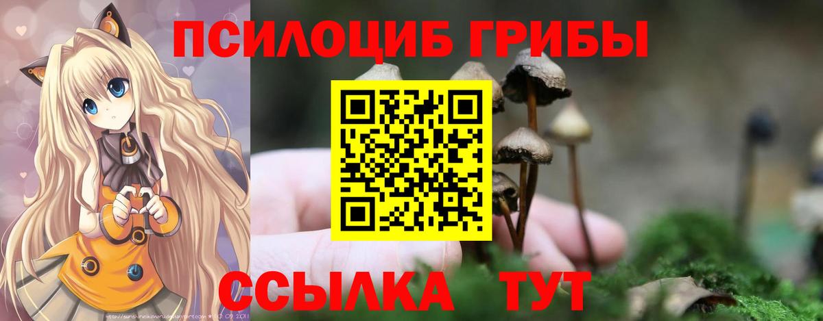 Скопин  Галлюциногенные грибы Psilocybe  Вход с VPN 